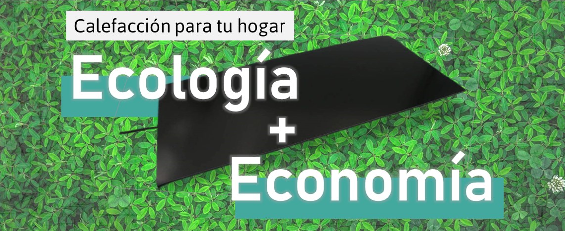 calefaccion-ecologica-economica-1