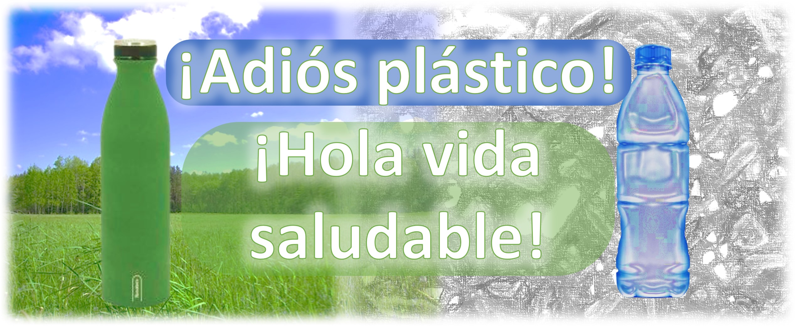 VIDA SALUDABLE sin plásticos
