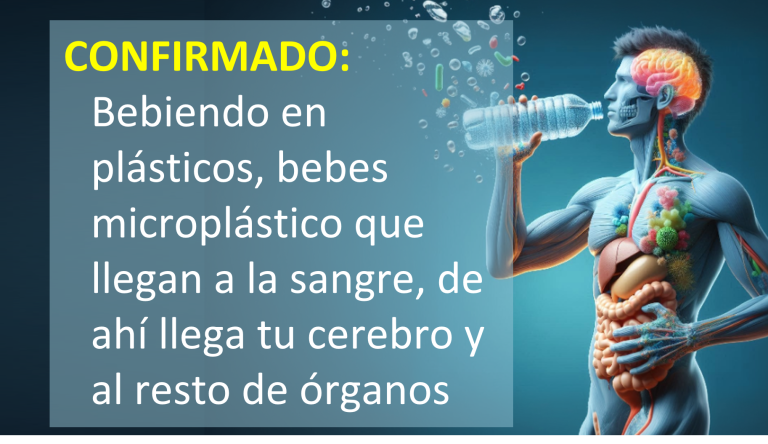 microplasticos-sangre-cerebro-placenta-botellas-agua
