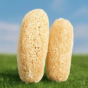 Aseo y limpieza ecológica