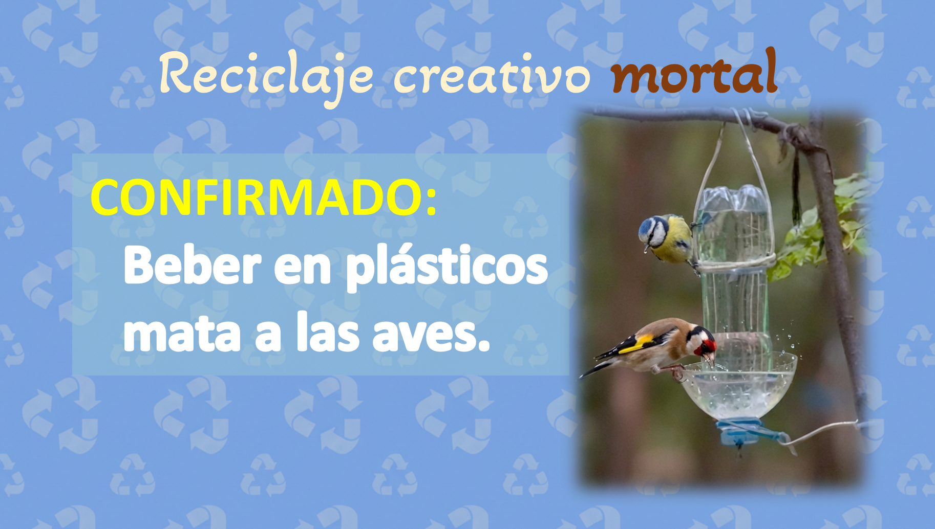 la creatividad en el reciclaje puede ser mortal